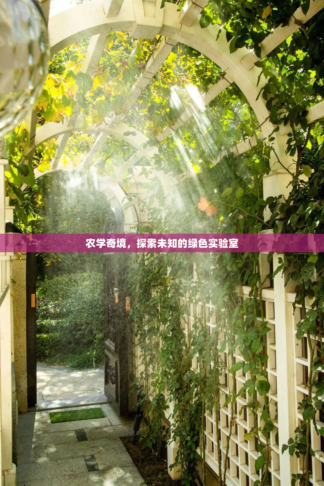 探索農(nóng)學(xué)奇境，走進(jìn)未知的綠色實(shí)驗(yàn)室  第2張