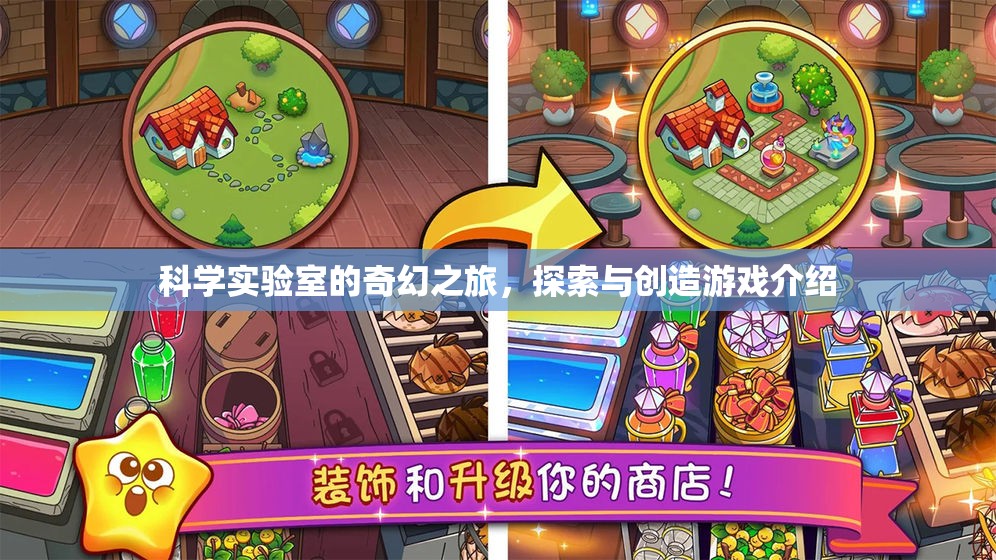 科學(xué)實(shí)驗(yàn)室的奇幻探索，一場融合科學(xué)與創(chuàng)造的游戲之旅
