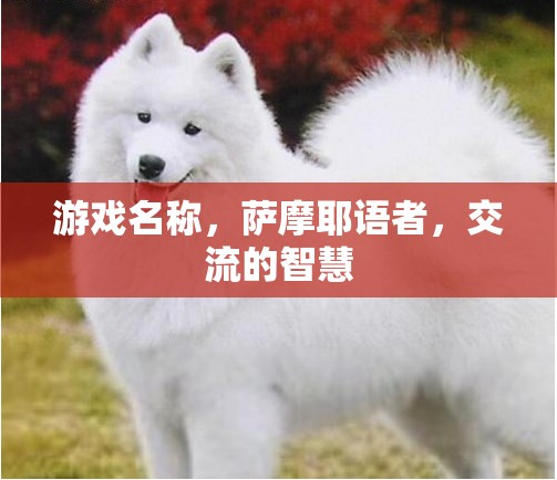 游戲名稱，薩摩耶語者，交流的智慧