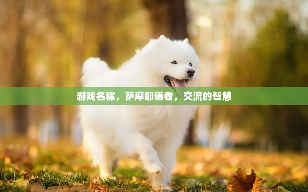 游戲名稱，薩摩耶語者，交流的智慧