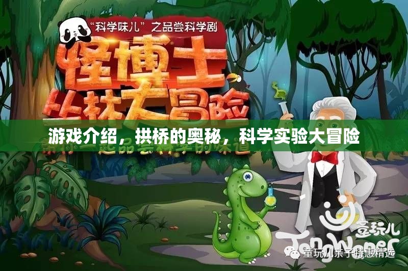 探索拱橋的奧秘，科學(xué)實驗大冒險