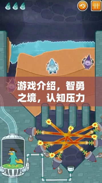 智勇之境，認(rèn)知壓力應(yīng)對(duì)大師的挑戰(zhàn)之旅