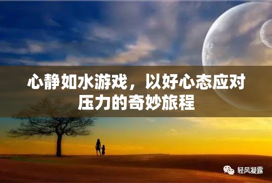 心靜如水，以好心態(tài)應(yīng)對壓力的奇妙旅程  第2張