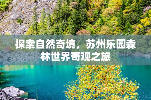 探索自然奇境，蘇州樂(lè)園森林世界的奇妙之旅