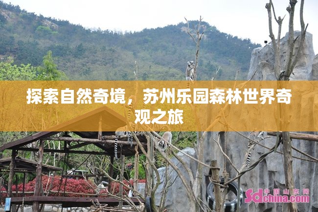探索自然奇境，蘇州樂園森林世界的奇妙之旅  第3張
