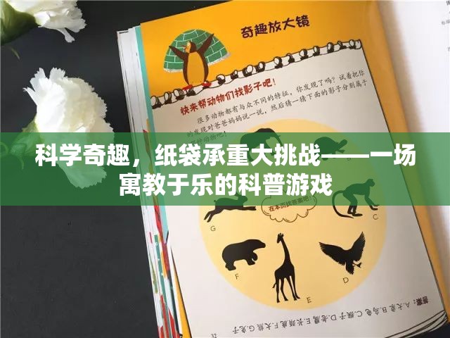 紙袋承重大挑戰(zhàn)，寓教于樂的科普游戲