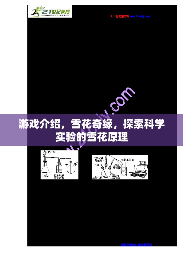 探索雪花之美，揭秘雪花奇緣中的科學(xué)實(shí)驗(yàn)