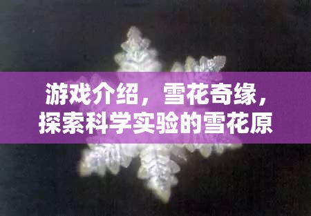 探索雪花之美，揭秘雪花奇緣中的科學(xué)實(shí)驗(yàn)