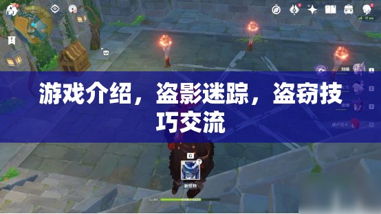 盜影迷蹤，解鎖盜竊技巧的神秘游戲  第3張