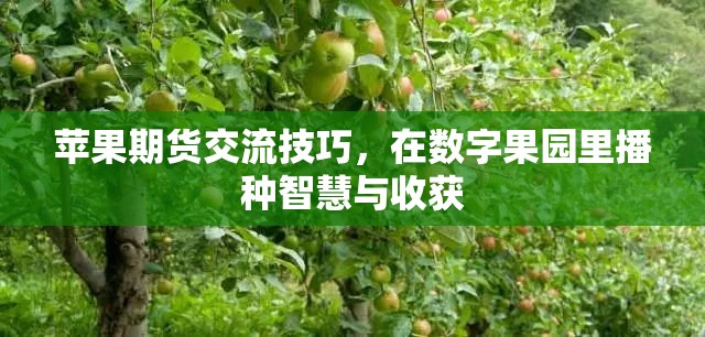 在數(shù)字果園中播種智慧，蘋果期貨交流技巧與收獲  第2張