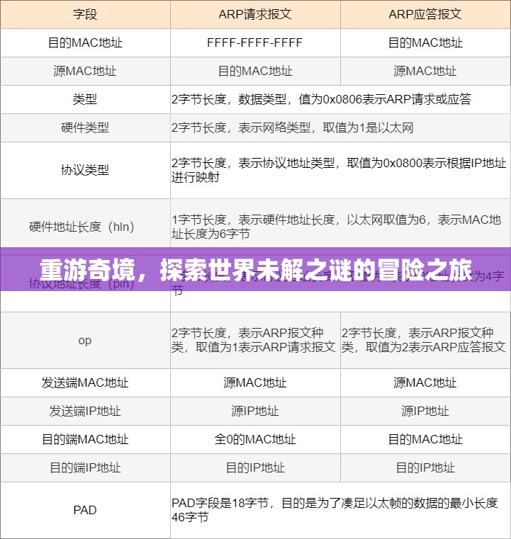 重返奇境，揭開世界未解之謎的冒險(xiǎn)探索  第3張