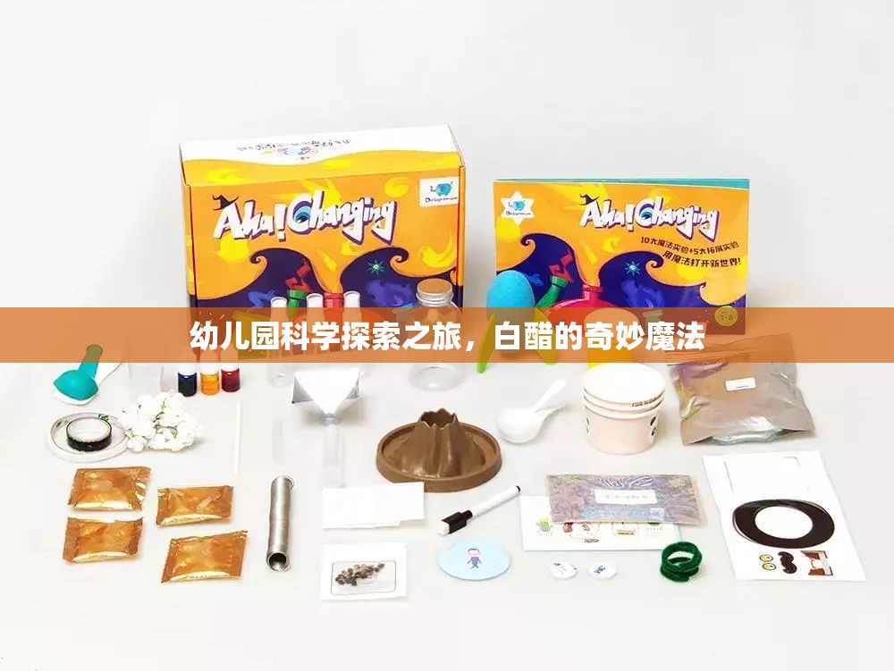 白醋的奇妙魔法，幼兒園的科學(xué)探索之旅