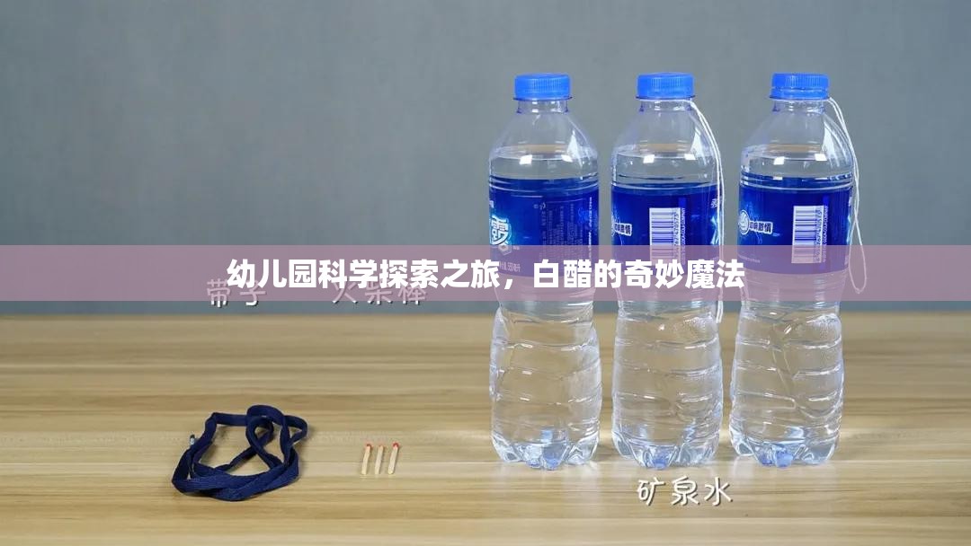 白醋的奇妙魔法，幼兒園的科學(xué)探索之旅