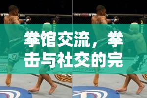 拳擊社交新風(fēng)尚，拳館交流的完美融合  第3張