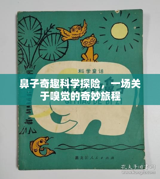鼻子奇趣科學探險，一場關(guān)于嗅覺的奇妙旅程  第3張
