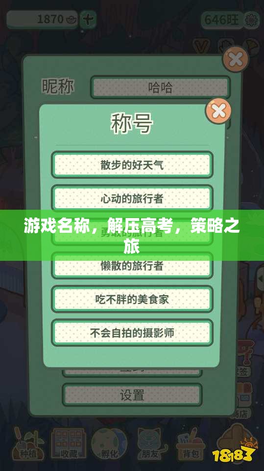 解壓高考，策略之旅的智慧挑戰(zhàn)