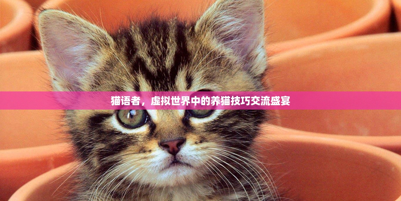 虛擬養(yǎng)貓技巧交流，貓語者的盛宴