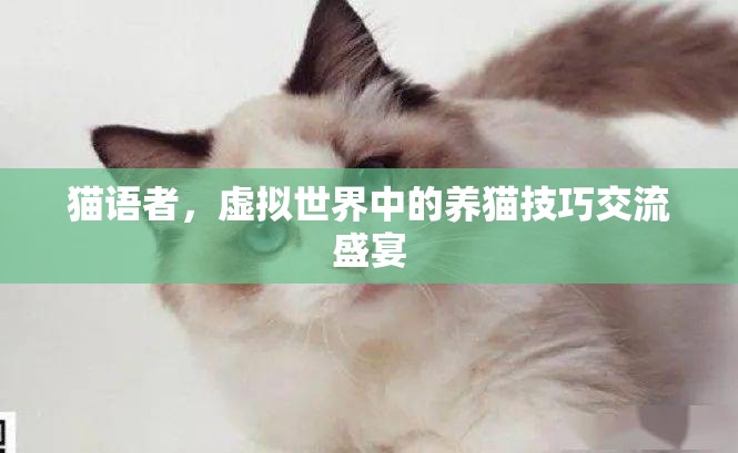 虛擬養(yǎng)貓技巧交流，貓語者的盛宴
