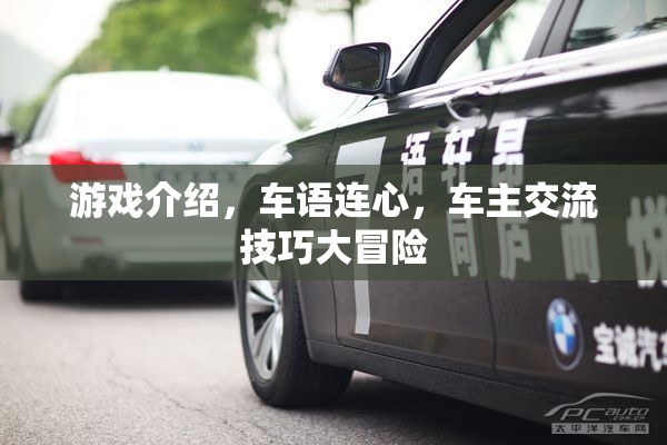 車語連心，車主交流技巧大冒險(xiǎn)的精彩游戲介紹  第2張