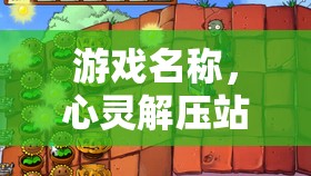 心靈解壓站，學(xué)生壓力應(yīng)對(duì)之旅