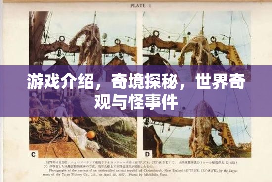奇境探秘，解鎖世界奇觀與怪異事件的游戲之旅