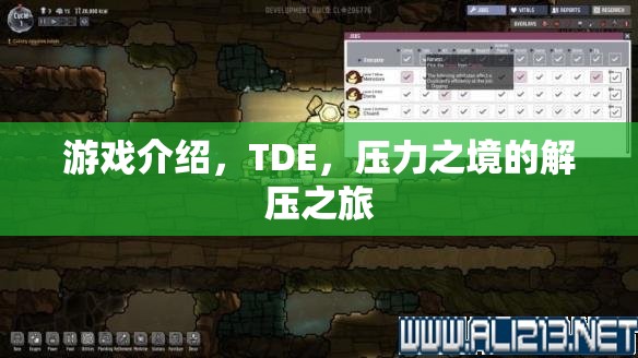 TDE，壓力之境的解壓之旅