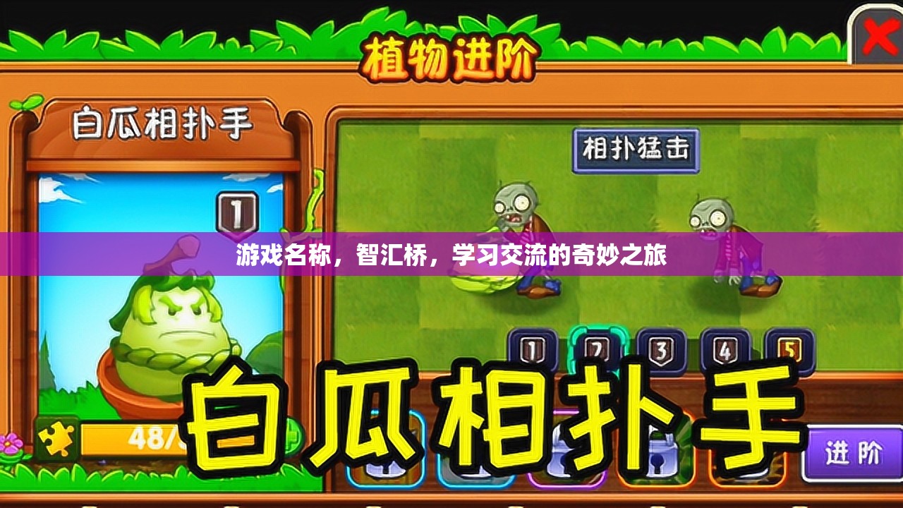 智匯橋，開啟學習交流的奇妙旅程  第3張