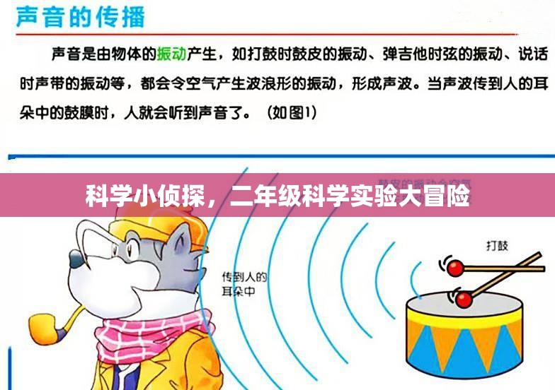 科學小偵探，二年級科學實驗大冒險的奇妙之旅