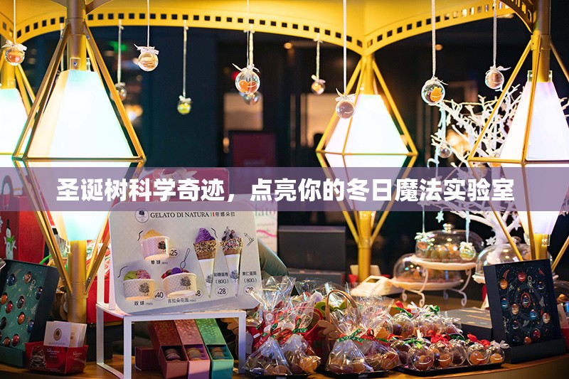 圣誕樹(shù)的科學(xué)奇跡，點(diǎn)亮你的冬日魔法實(shí)驗(yàn)室