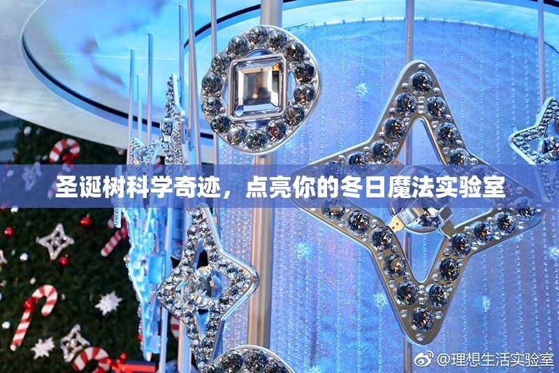 圣誕樹的科學(xué)奇跡，點(diǎn)亮你的冬日魔法實(shí)驗(yàn)室  第2張