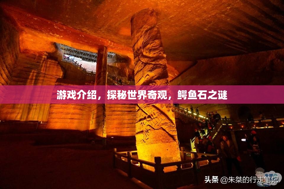 揭秘鱷魚石之謎，探秘世界奇觀