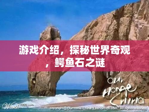 揭秘鱷魚石之謎，探秘世界奇觀  第2張