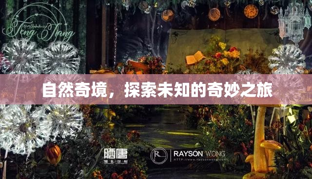 自然奇境，一場(chǎng)探索未知的奇妙之旅  第1張