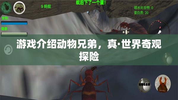 動物兄弟，真·世界奇觀探險  第2張