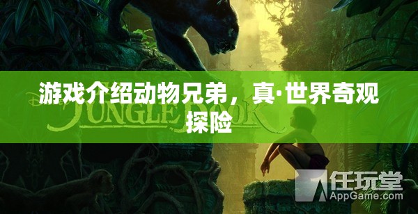 動物兄弟，真·世界奇觀探險  第3張