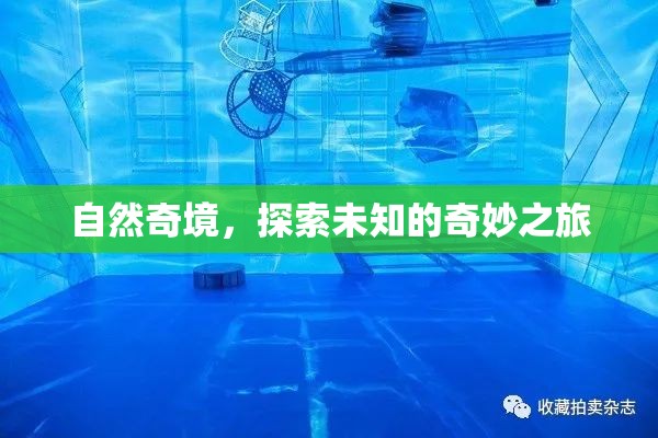 自然奇境，一場(chǎng)探索未知的奇妙之旅  第3張