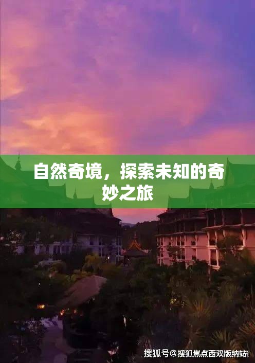 自然奇境，一場(chǎng)探索未知的奇妙之旅  第2張