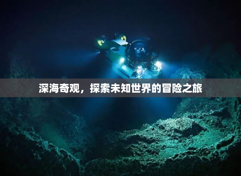 深海奇觀，一場探索未知世界的冒險之旅