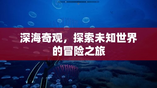 深海奇觀，一場(chǎng)探索未知世界的冒險(xiǎn)之旅