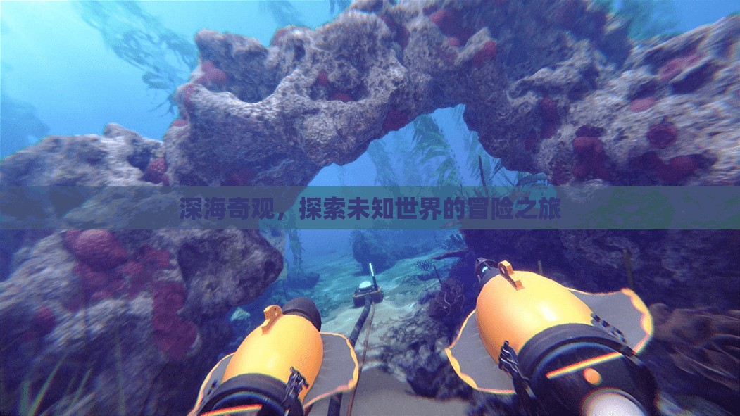 深海奇觀，一場(chǎng)探索未知世界的冒險(xiǎn)之旅