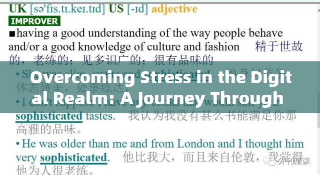 數(shù)字世界中的壓力克服之旅，在壓力追求中前行