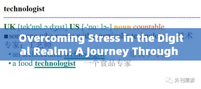 數(shù)字世界中的壓力克服之旅，在壓力追求中前行