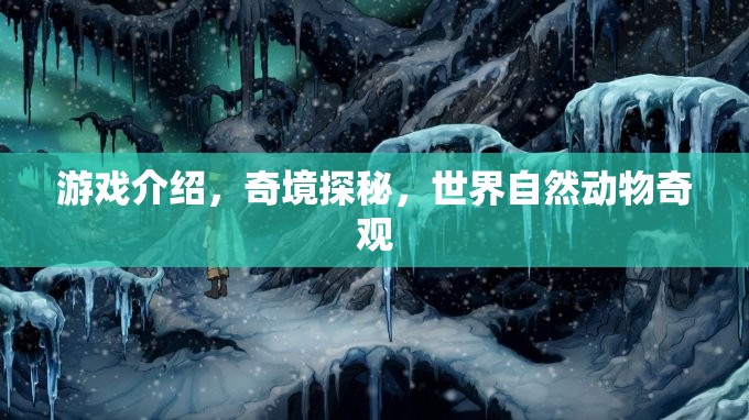 探索自然奇境，奇境探秘中的動(dòng)物奇觀