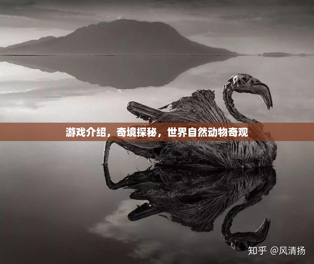 探索自然奇境，奇境探秘中的動物奇觀