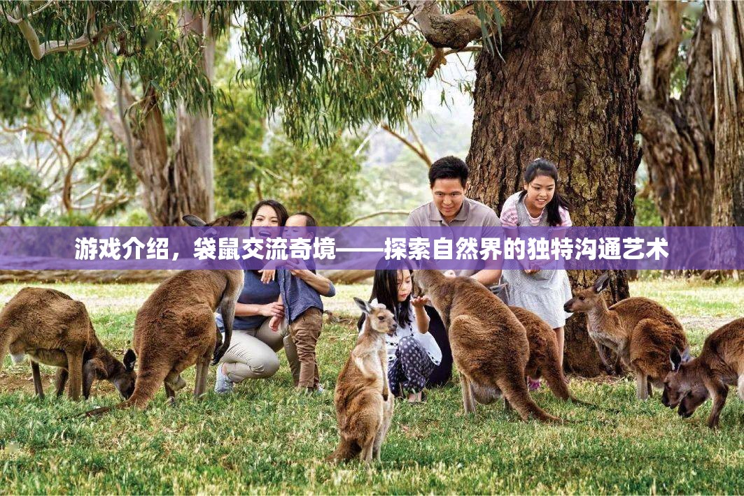 袋鼠交流奇境，探索自然界的獨(dú)特溝通藝術(shù)  第2張