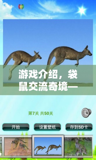 袋鼠交流奇境，探索自然界的獨(dú)特溝通藝術(shù)  第3張
