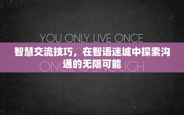 智語(yǔ)迷城，探索智慧交流技巧，解鎖溝通的無(wú)限可能  第2張
