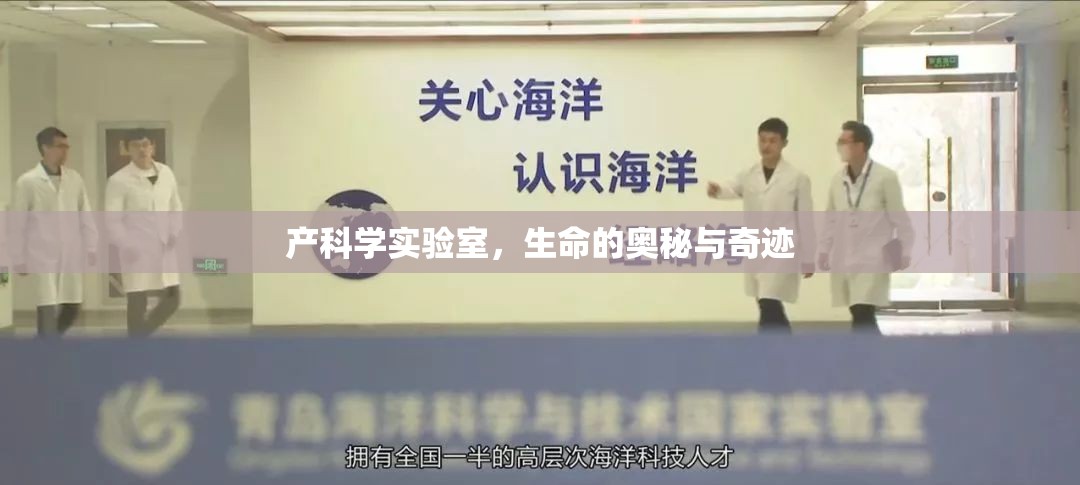 探索產(chǎn)科學(xué)實(shí)驗(yàn)室，生命的奧秘與奇跡