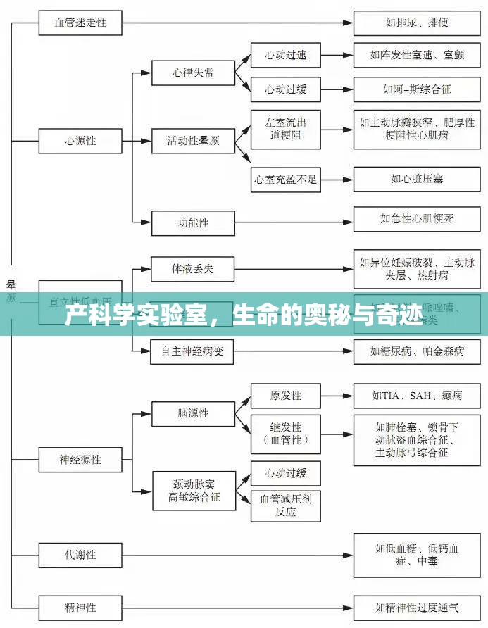探索產(chǎn)科學(xué)實(shí)驗(yàn)室，生命的奧秘與奇跡  第2張