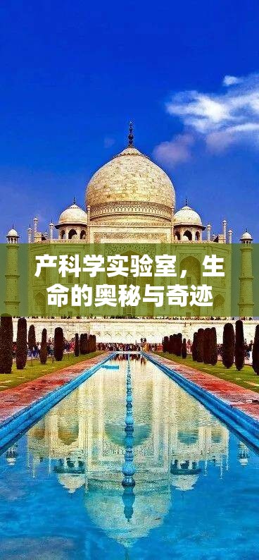 探索產(chǎn)科學(xué)實(shí)驗(yàn)室，生命的奧秘與奇跡  第3張